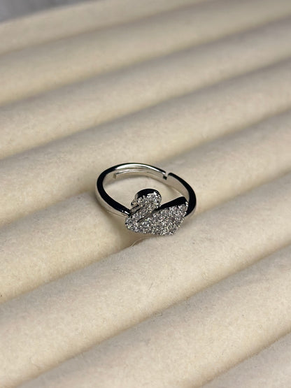 Premium Adjustable Stainless Steel Ring