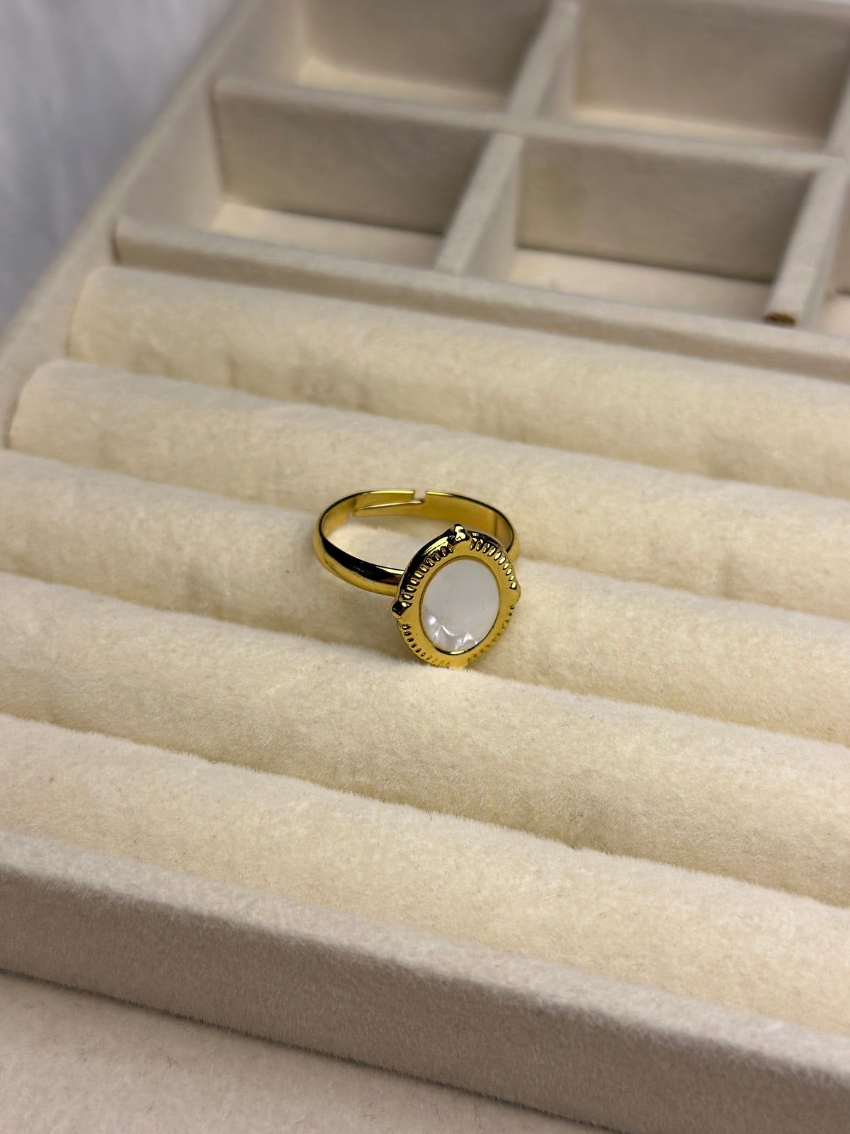 Premium Adjustable Stainless Steel Ring