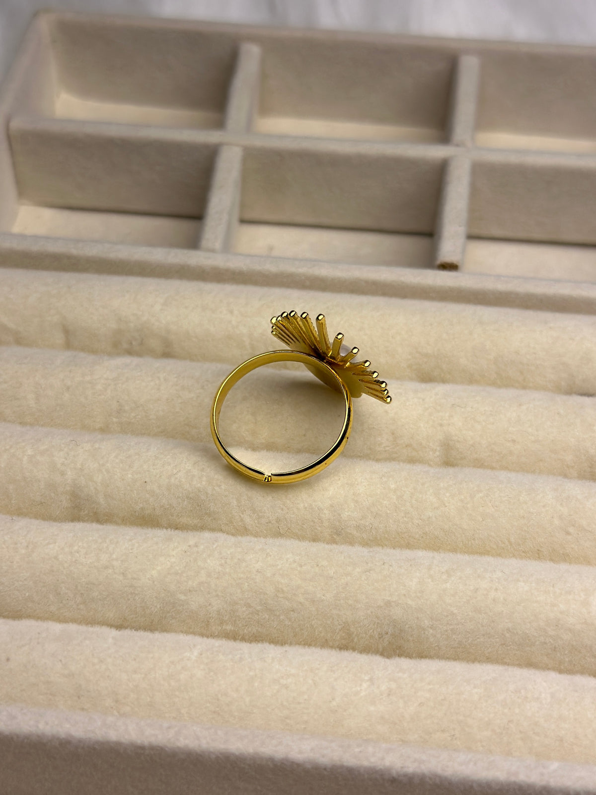 Premium Adjustable Stainless Steel Ring