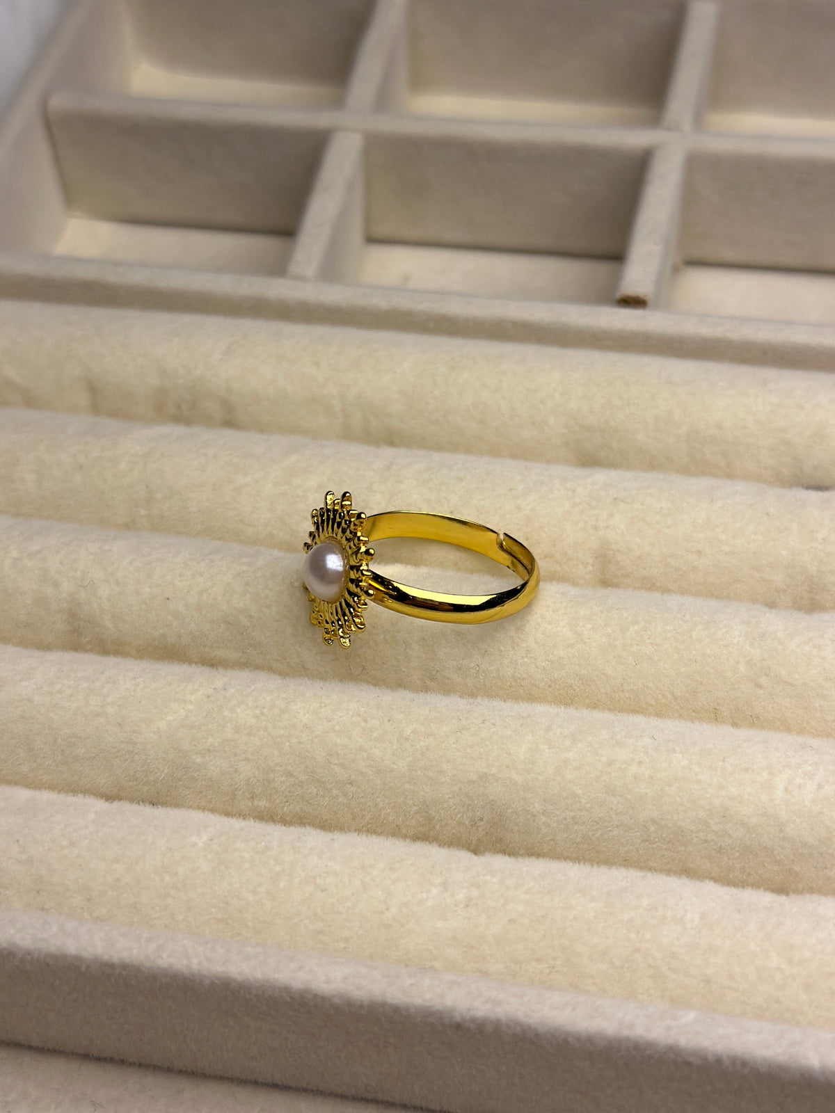 Premium Adjustable Stainless Steel Ring