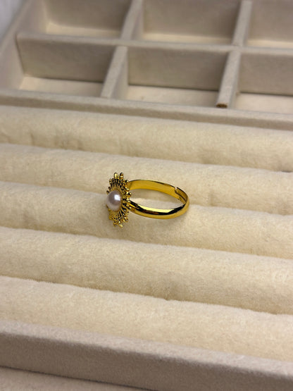 Premium Adjustable Stainless Steel Ring