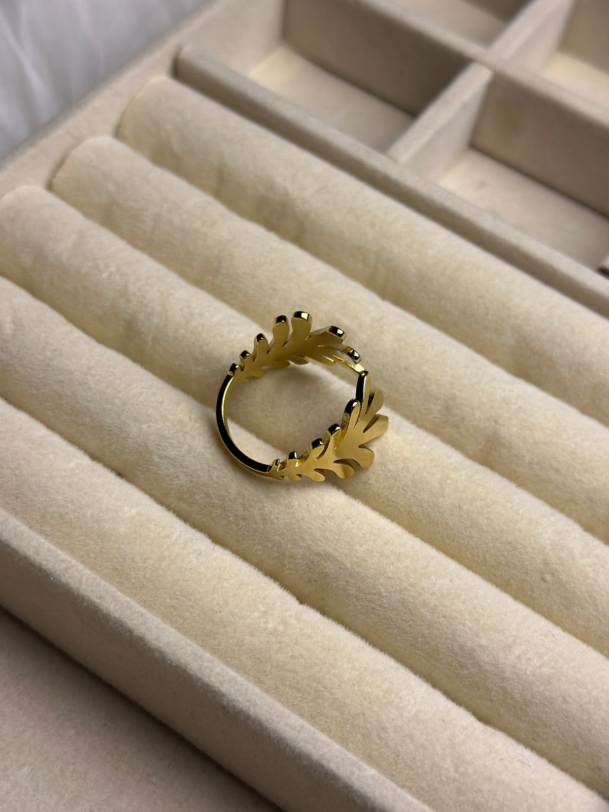 Premium Adjustable Stainless Steel Ring