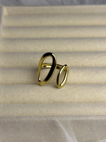 Premium Adjustable Stainless Steel Ring