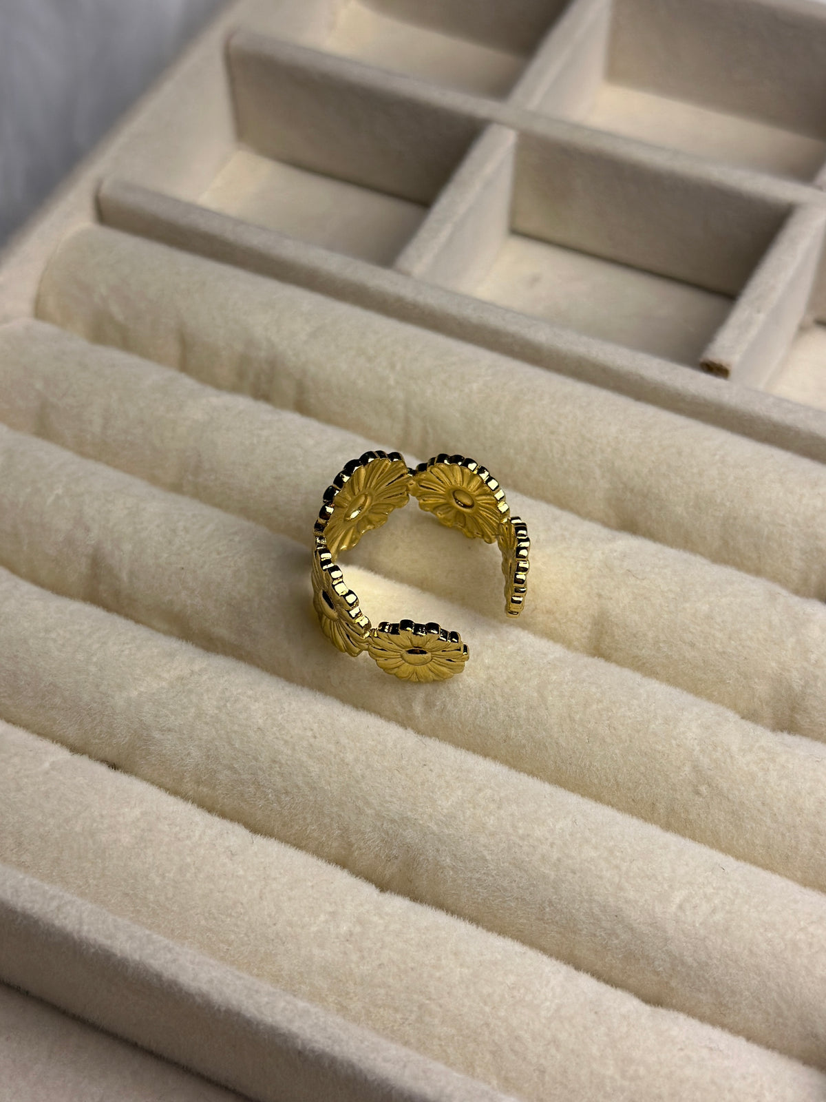 Premium Adjustable Stainless Steel Ring