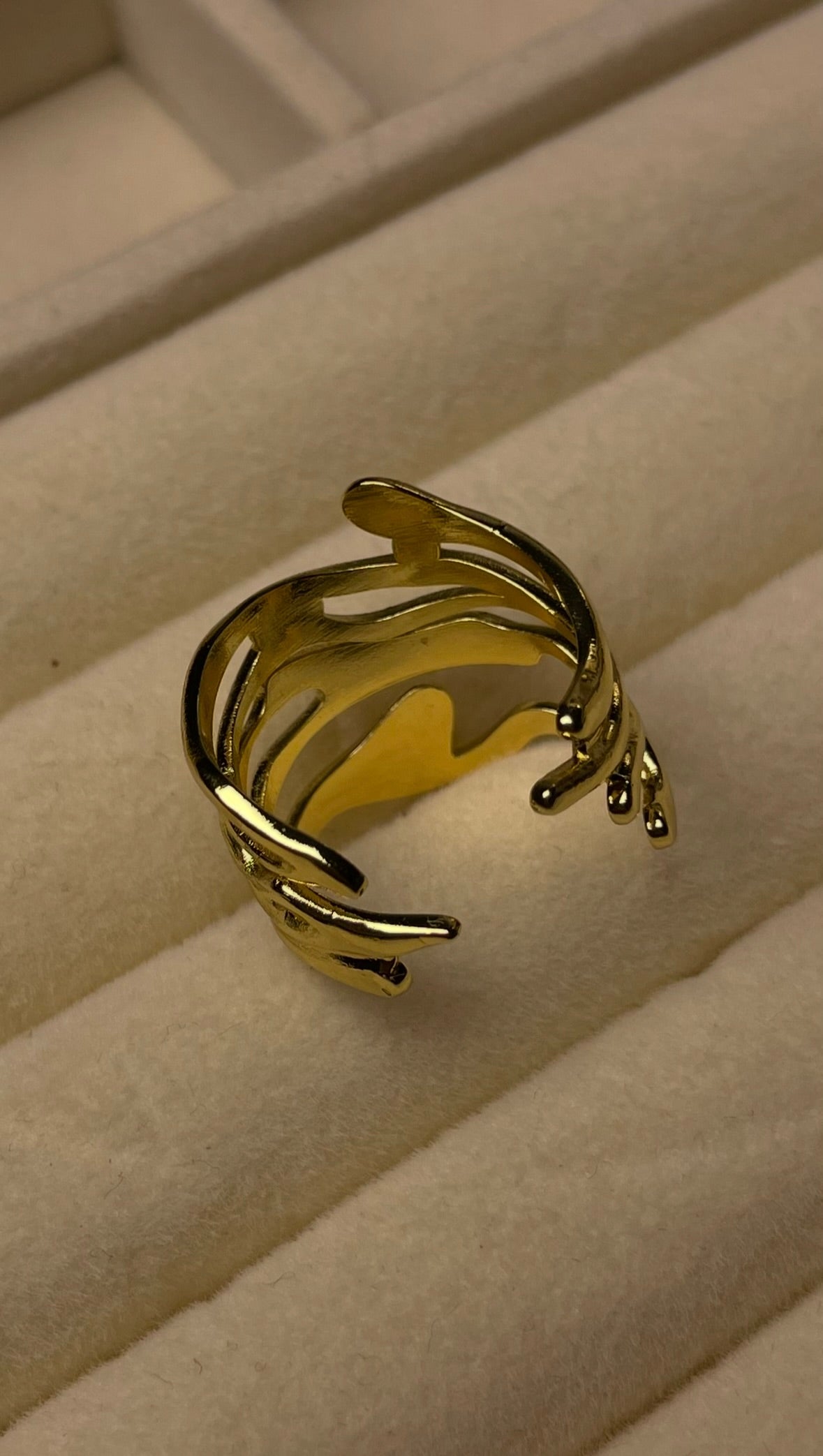 Premium Adjustable Stainless Steel Ring