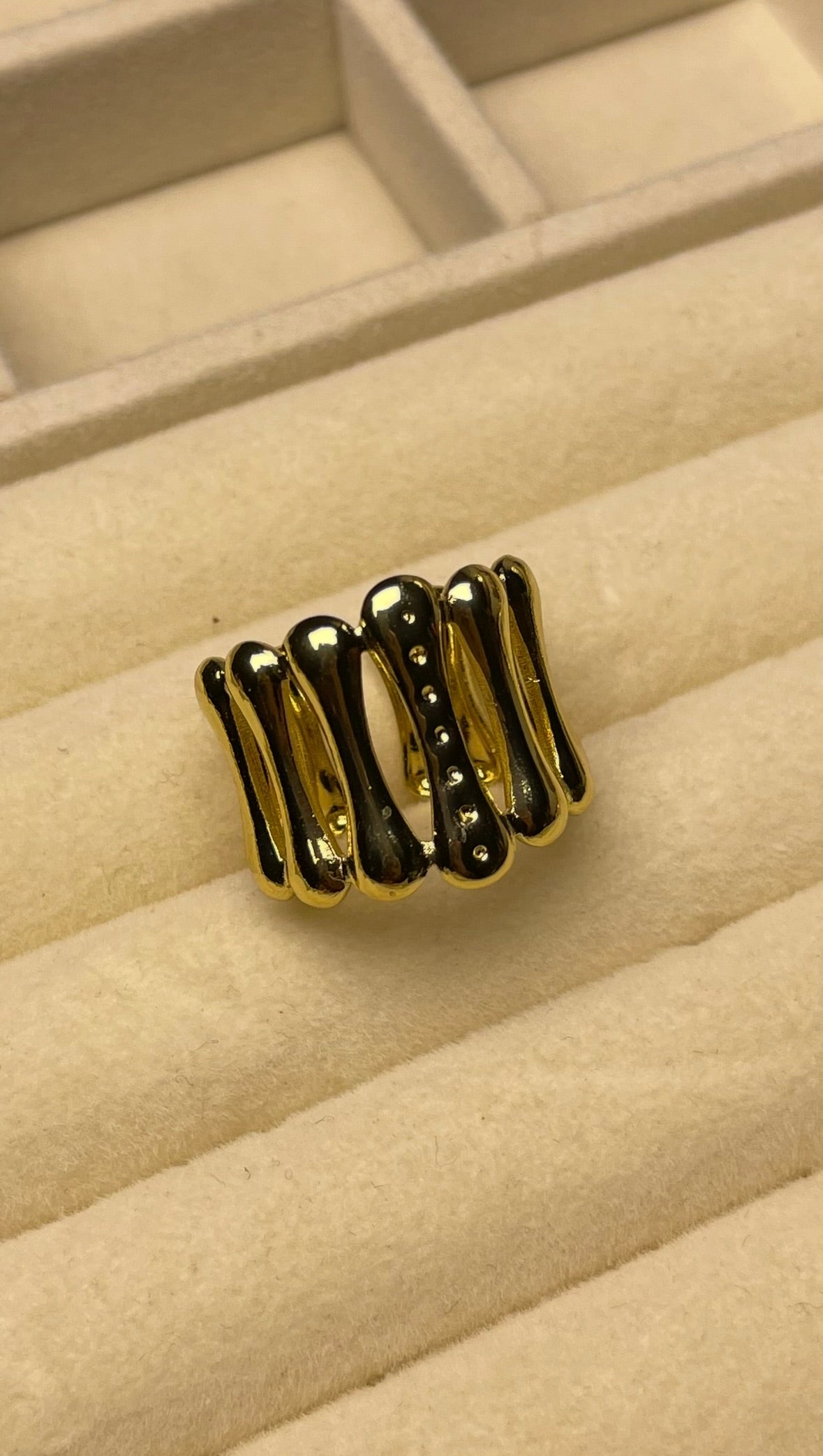 Premium Adjustable Stainless Steel Ring