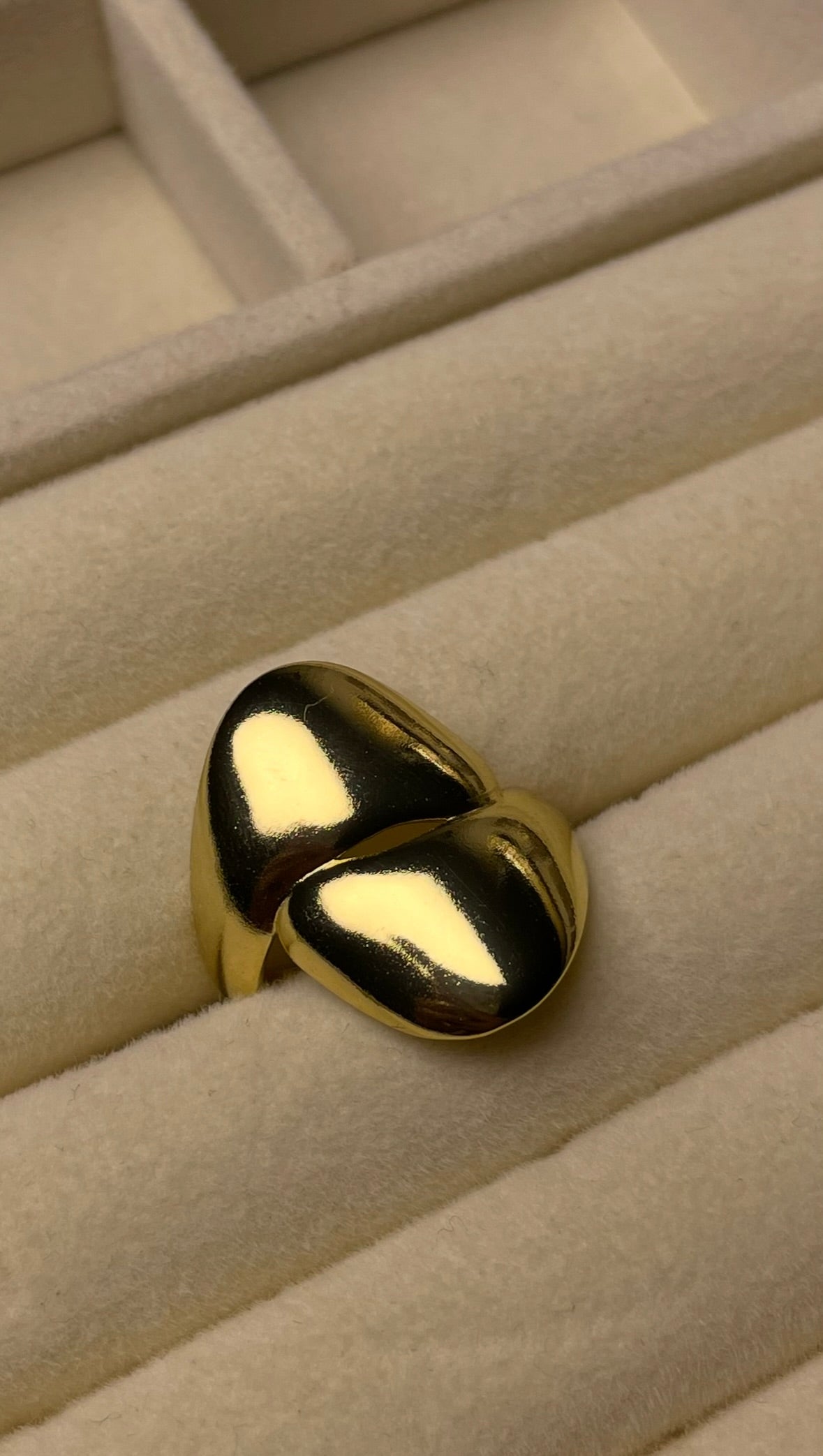 Premium Adjustable Stainless Steel Ring