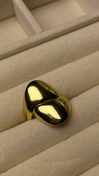 Premium Adjustable Stainless Steel Ring