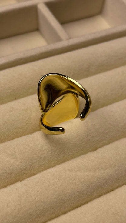 Premium Adjustable Stainless Steel Ring