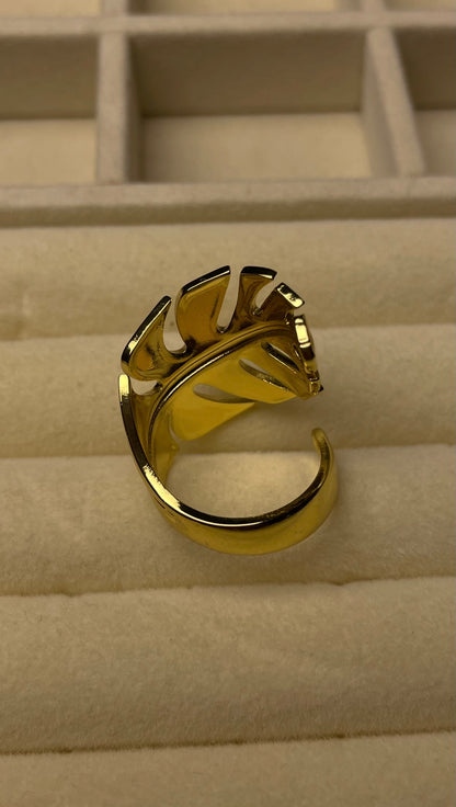 Premium Adjustable Stainless Steel Ring