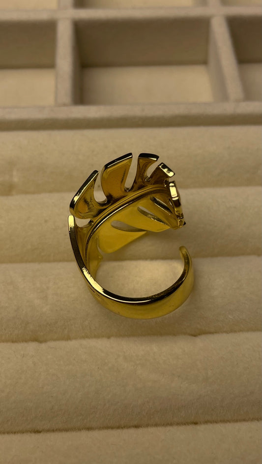 Premium Adjustable Stainless Steel Ring