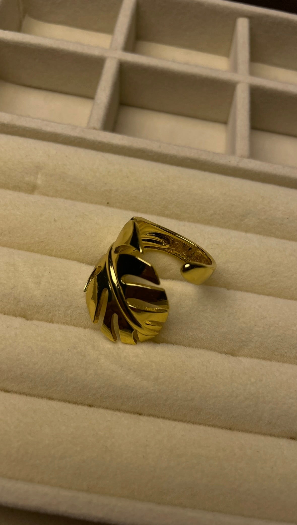Premium Adjustable Stainless Steel Ring