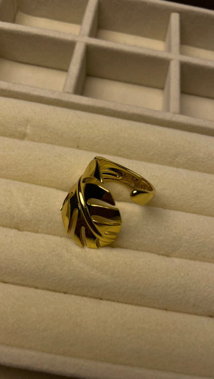 Premium Adjustable Stainless Steel Ring