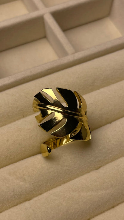 Premium Adjustable Stainless Steel Ring
