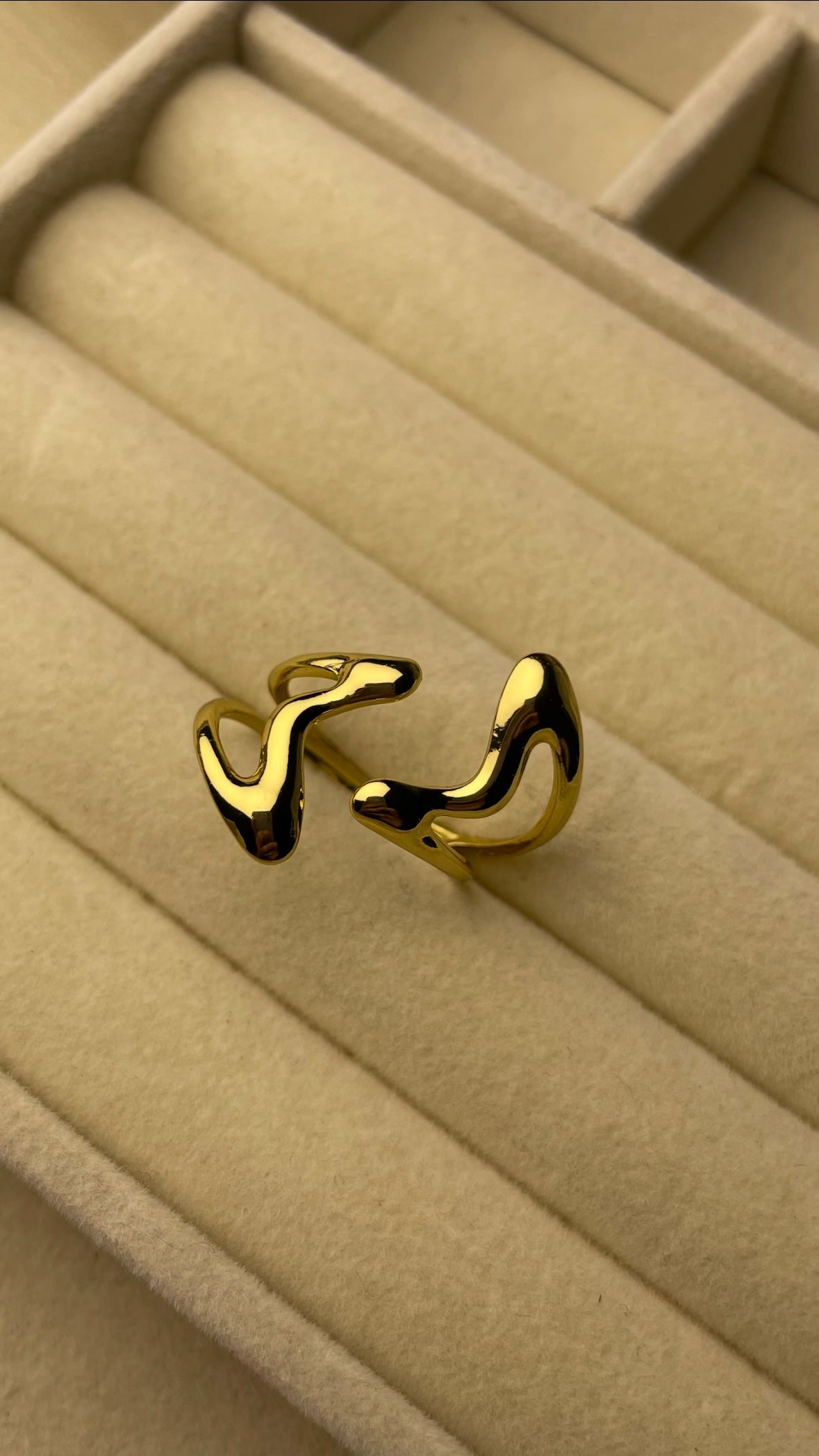 Premium Adjustable Stainless Steel Ring