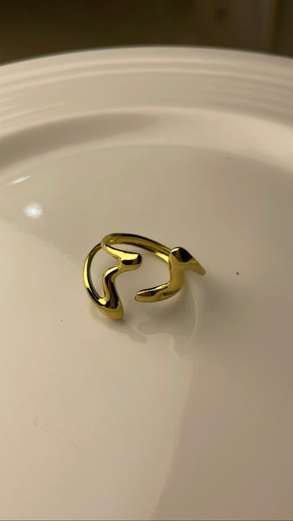 Premium Adjustable Stainless Steel Ring
