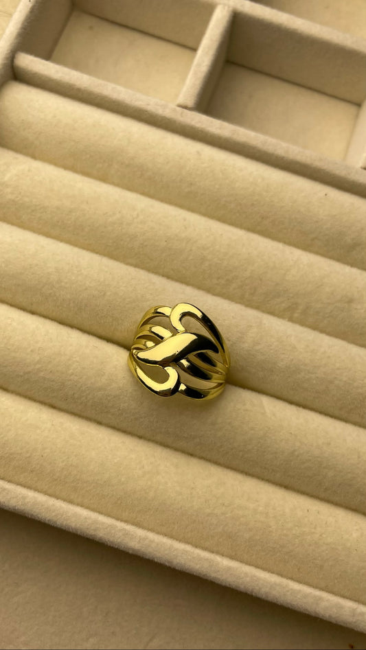 Premium Adjustable Stainless Steel Ring