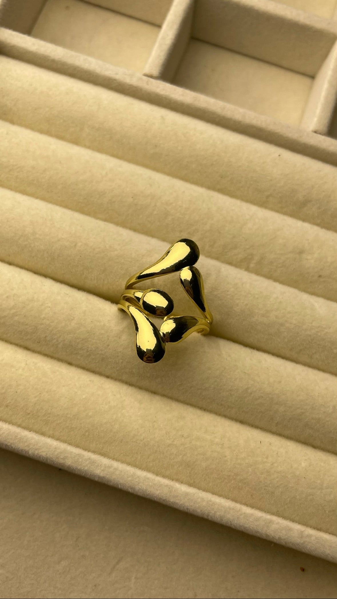 Premium Adjustable Stainless Steel Ring