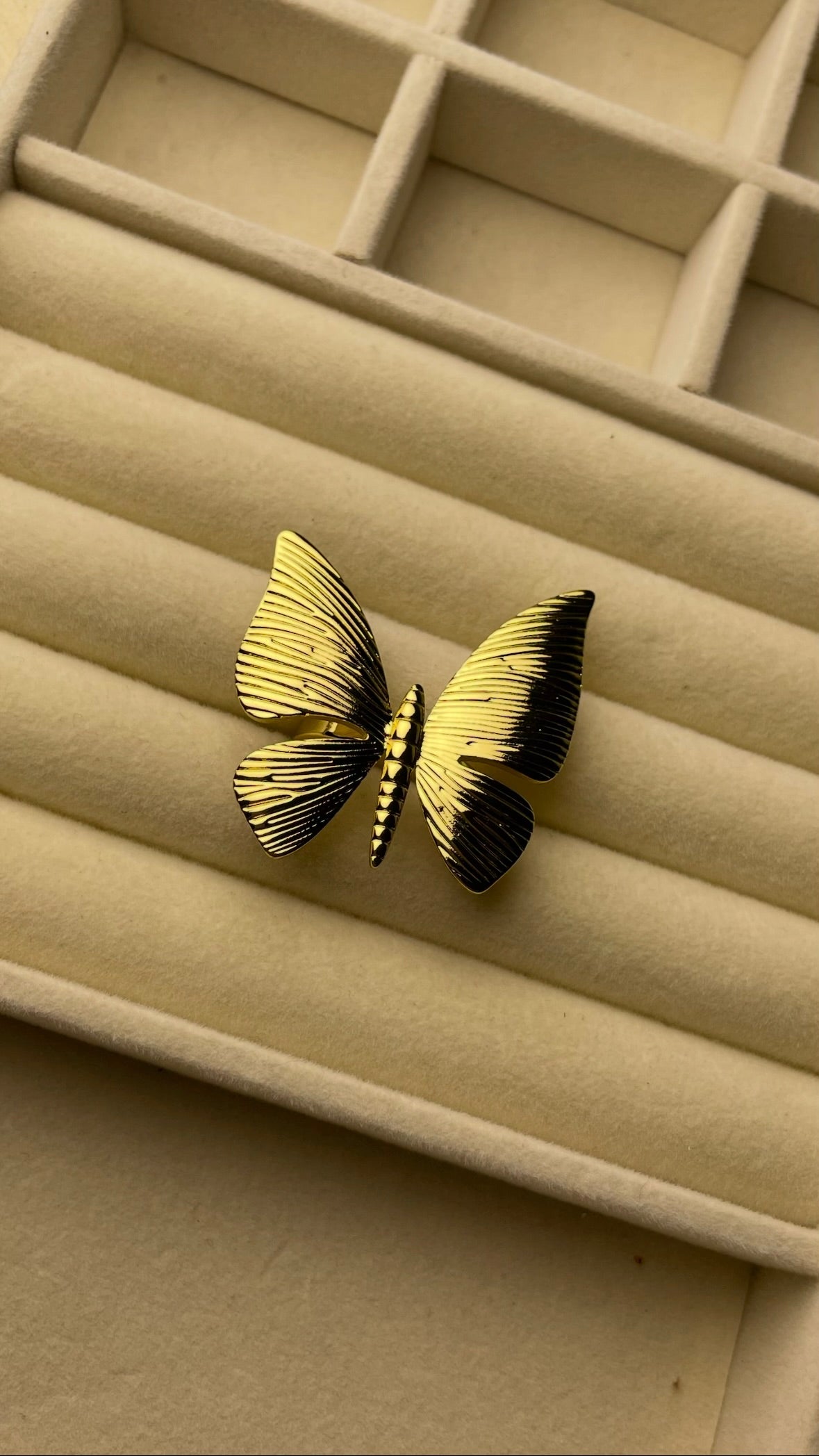 Premium Adjustable Stainless Steel Ring