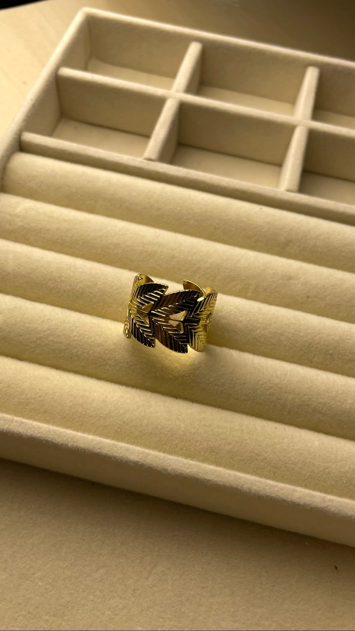 Premium Adjustable Stainless Steel Ring