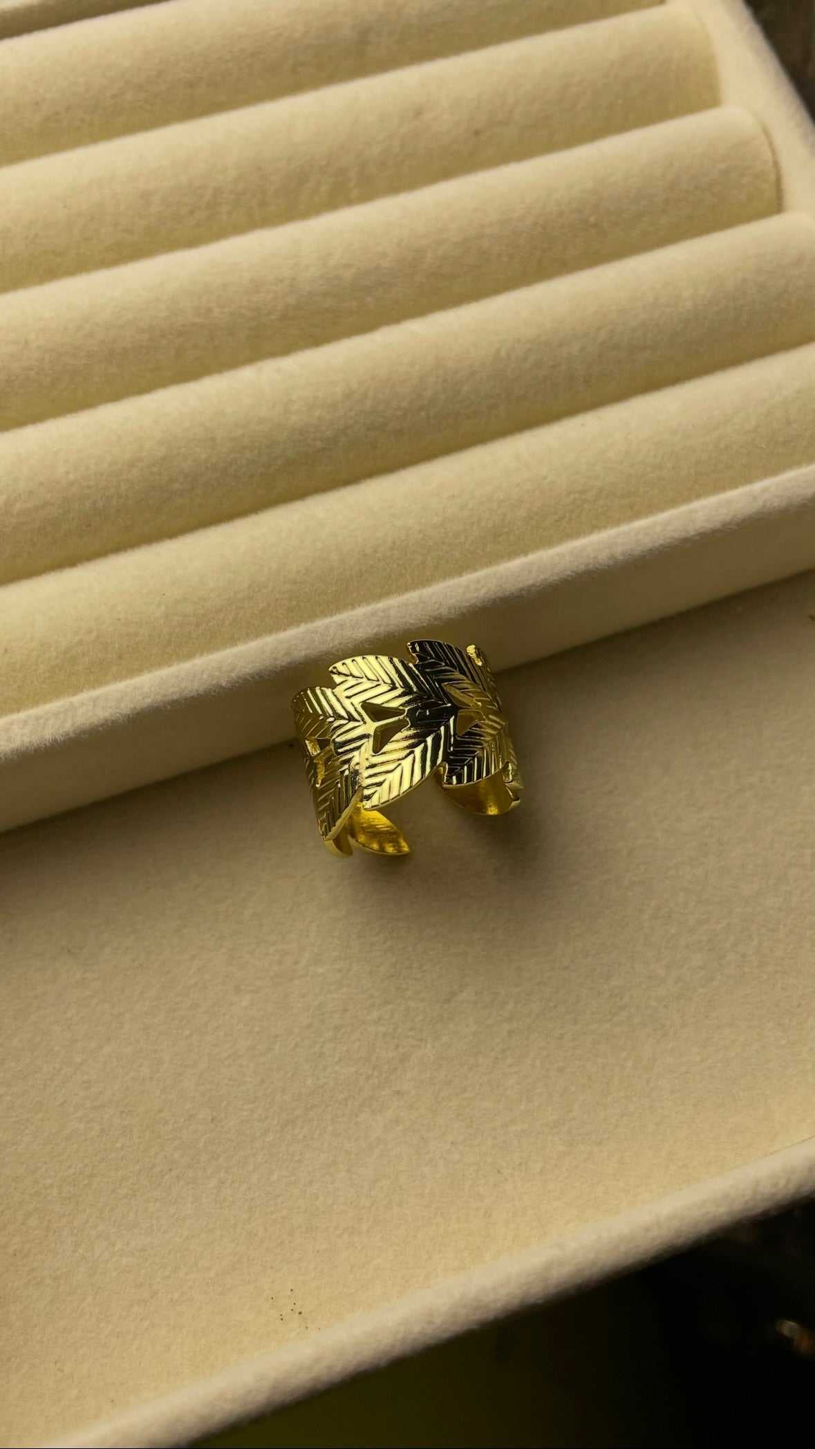 Premium Adjustable Stainless Steel Ring