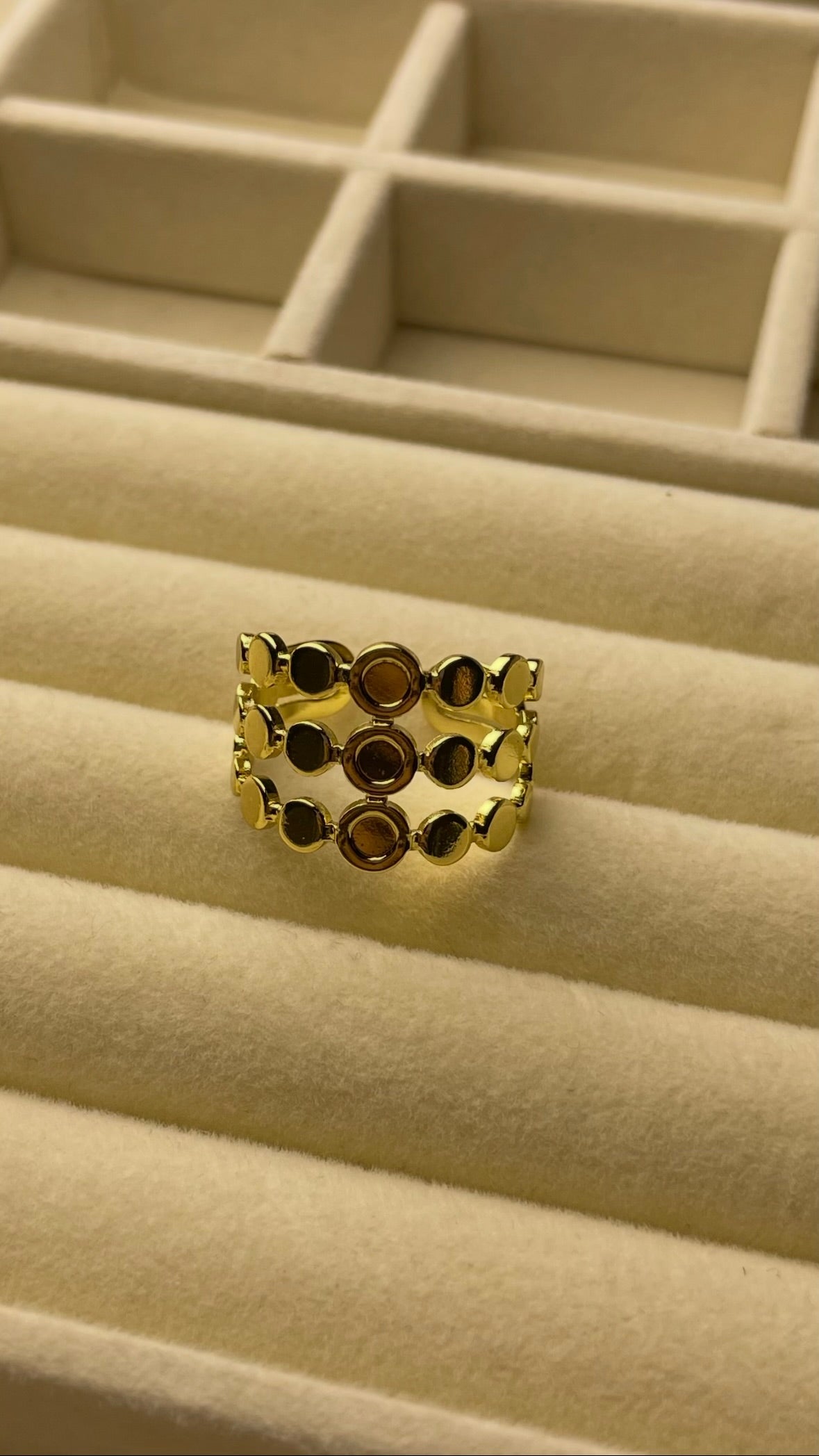 Premium Adjustable Stainless Steel Ring