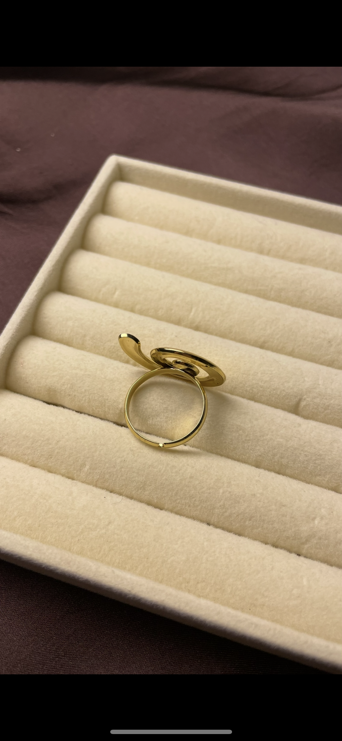 Premium Adjustable Stainless Steel Ring