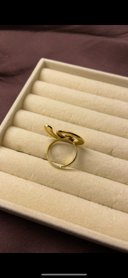 Premium Adjustable Stainless Steel Ring