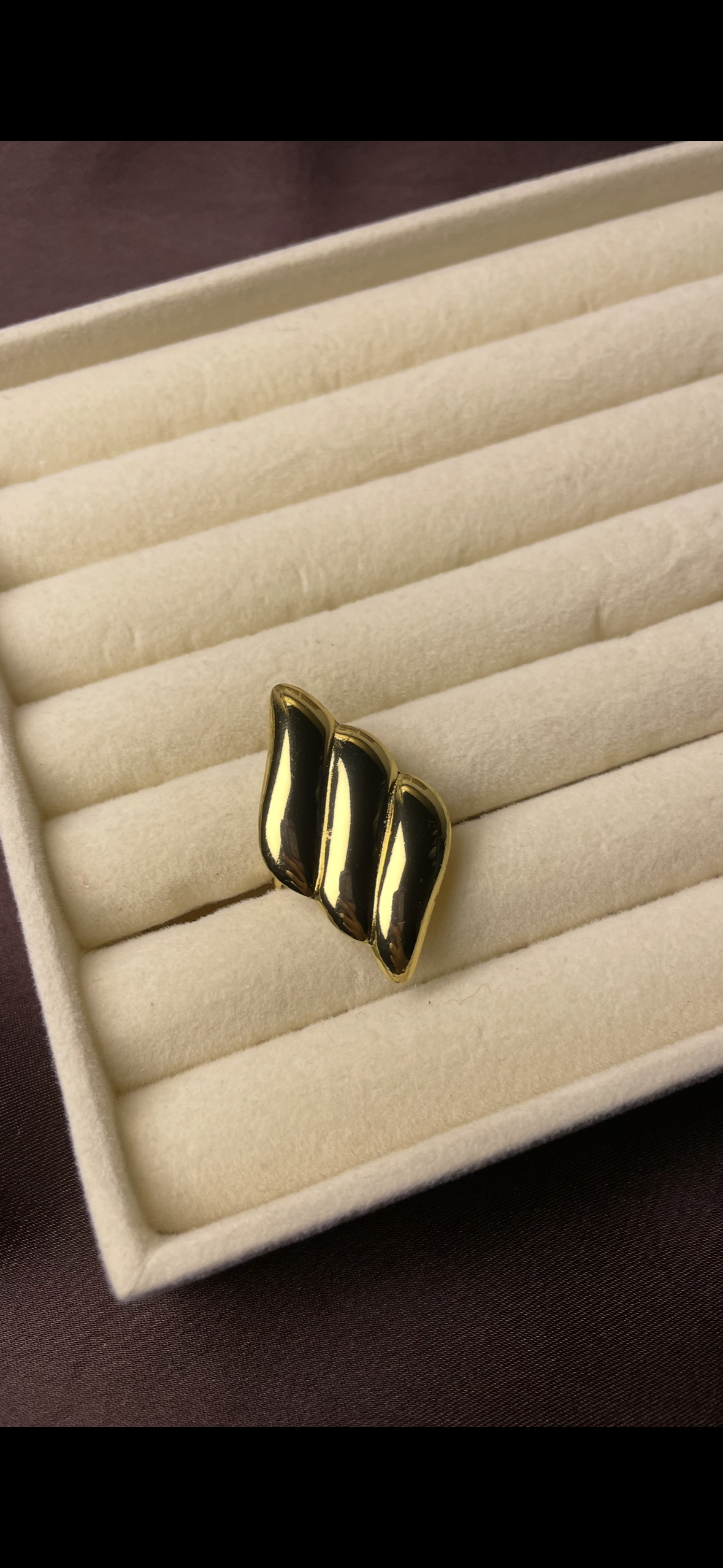 Premium Adjustable Stainless Steel Ring