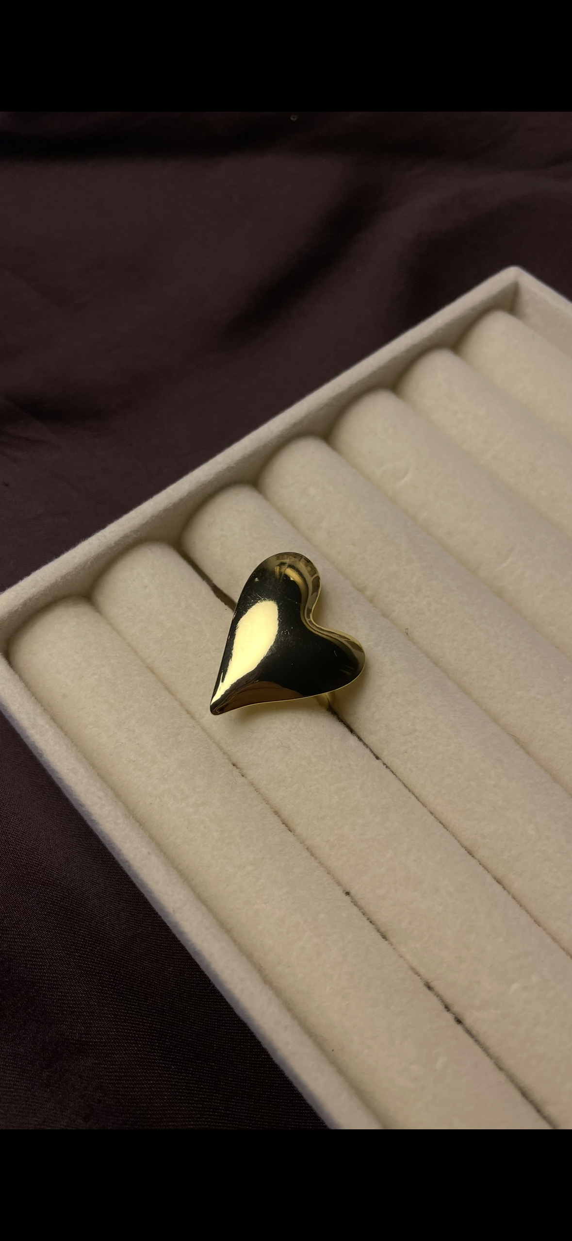 Premium Adjustable Stainless Steel Ring