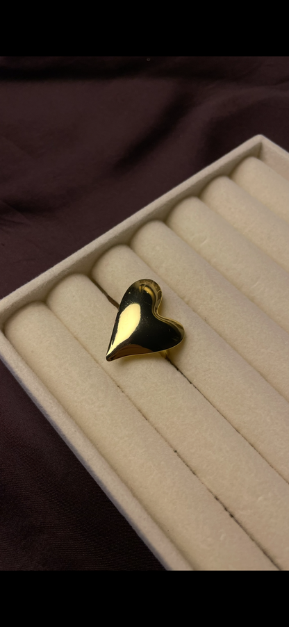 Premium Adjustable Stainless Steel Ring
