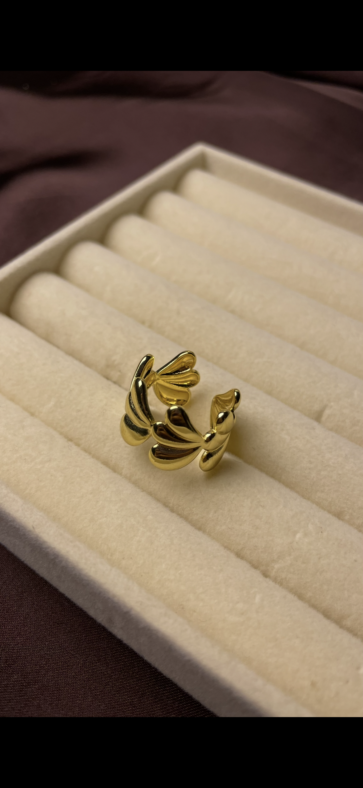 Premium Adjustable Stainless Steel Ring