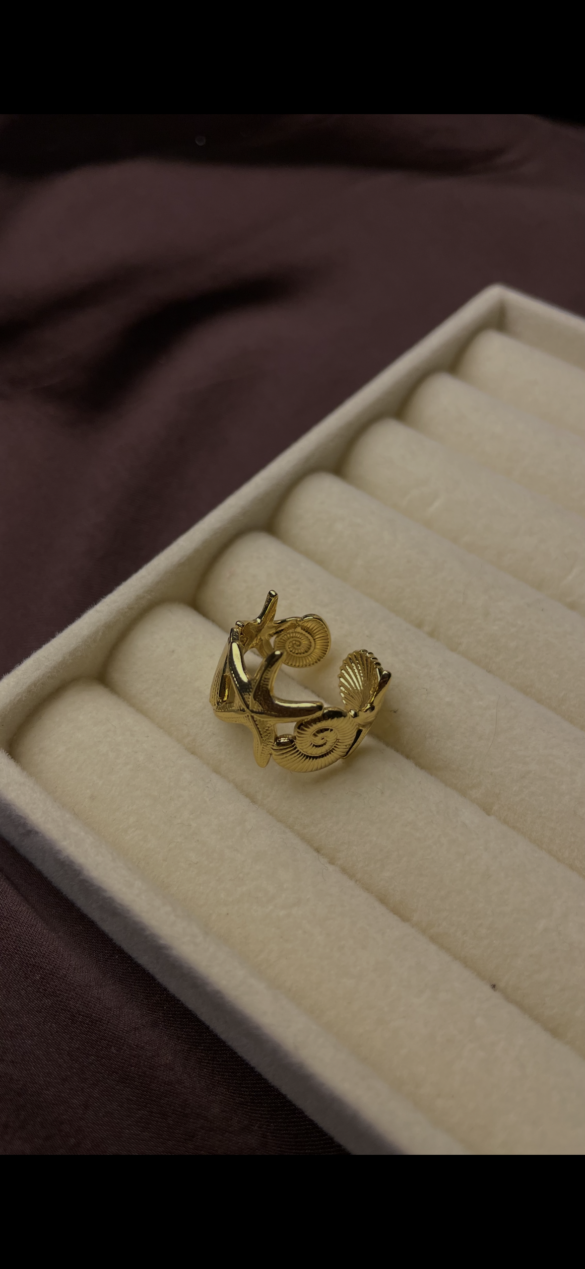 Premium Adjustable Stainless Steel Ring
