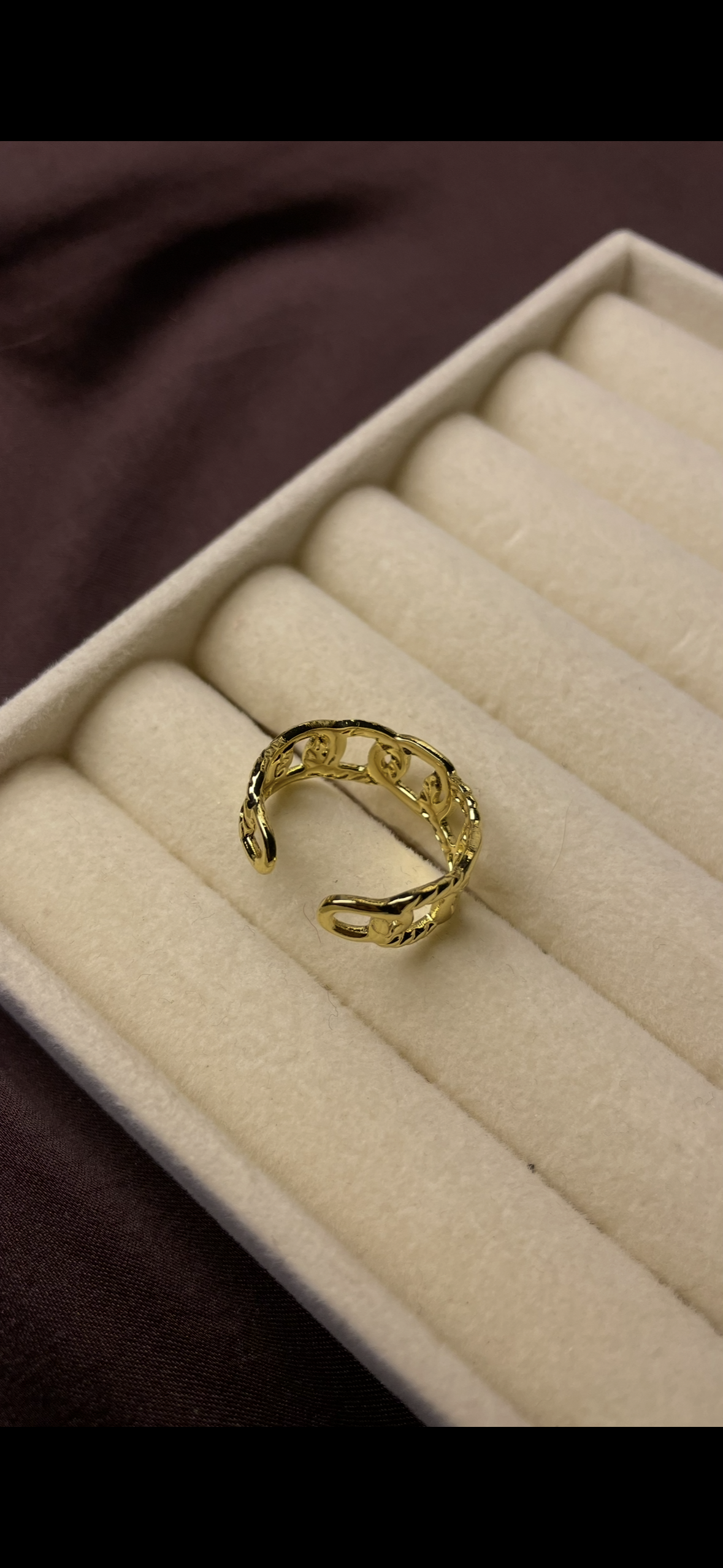 Premium Adjustable Stainless Steel Ring