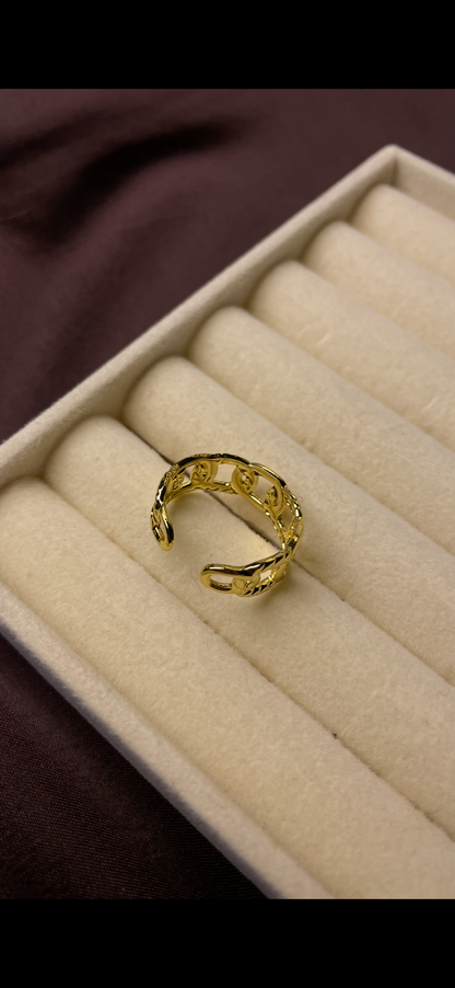 Premium Adjustable Stainless Steel Ring