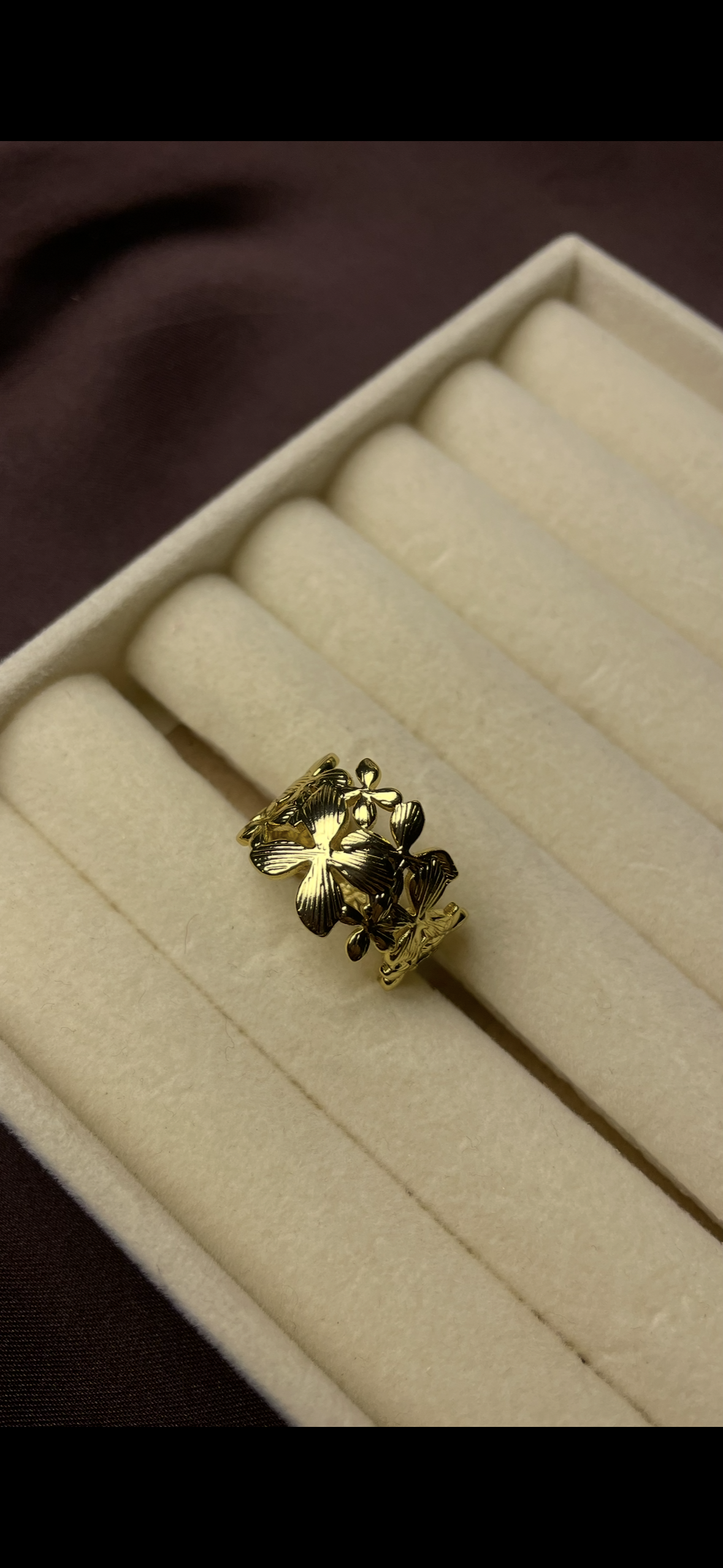 Premium Adjustable Stainless Steel Ring