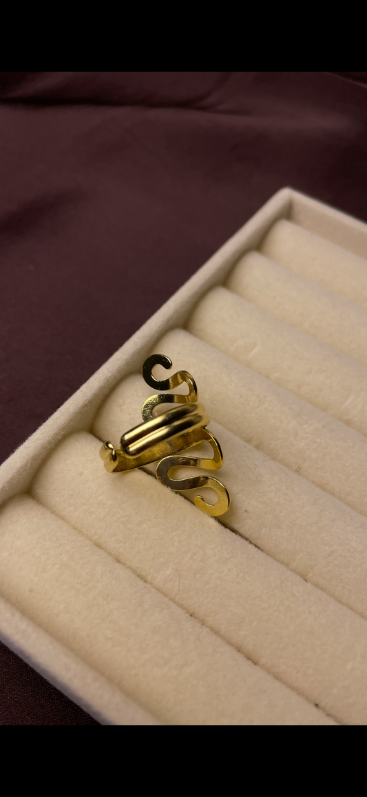 Premium Adjustable Stainless Steel Ring