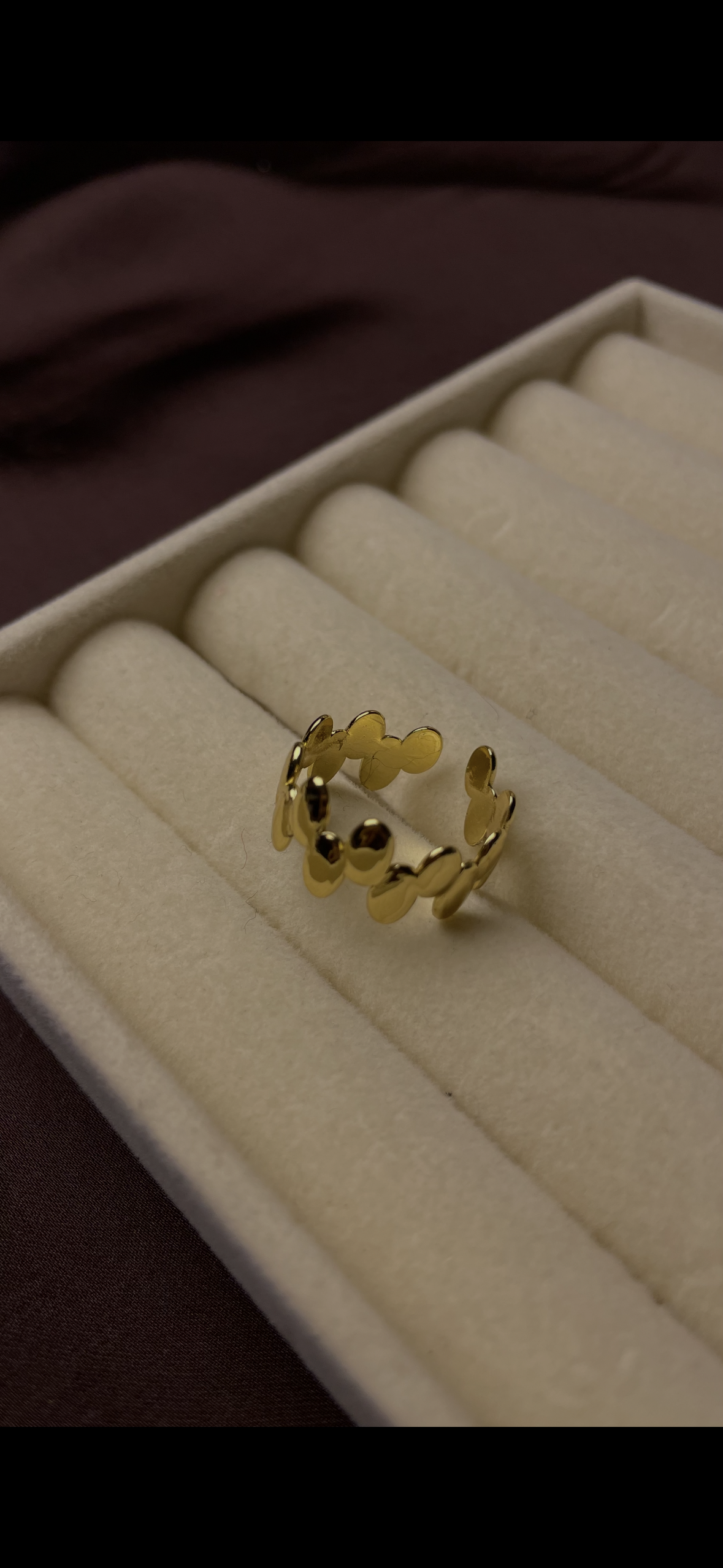 Premium Adjustable Stainless Steel Ring
