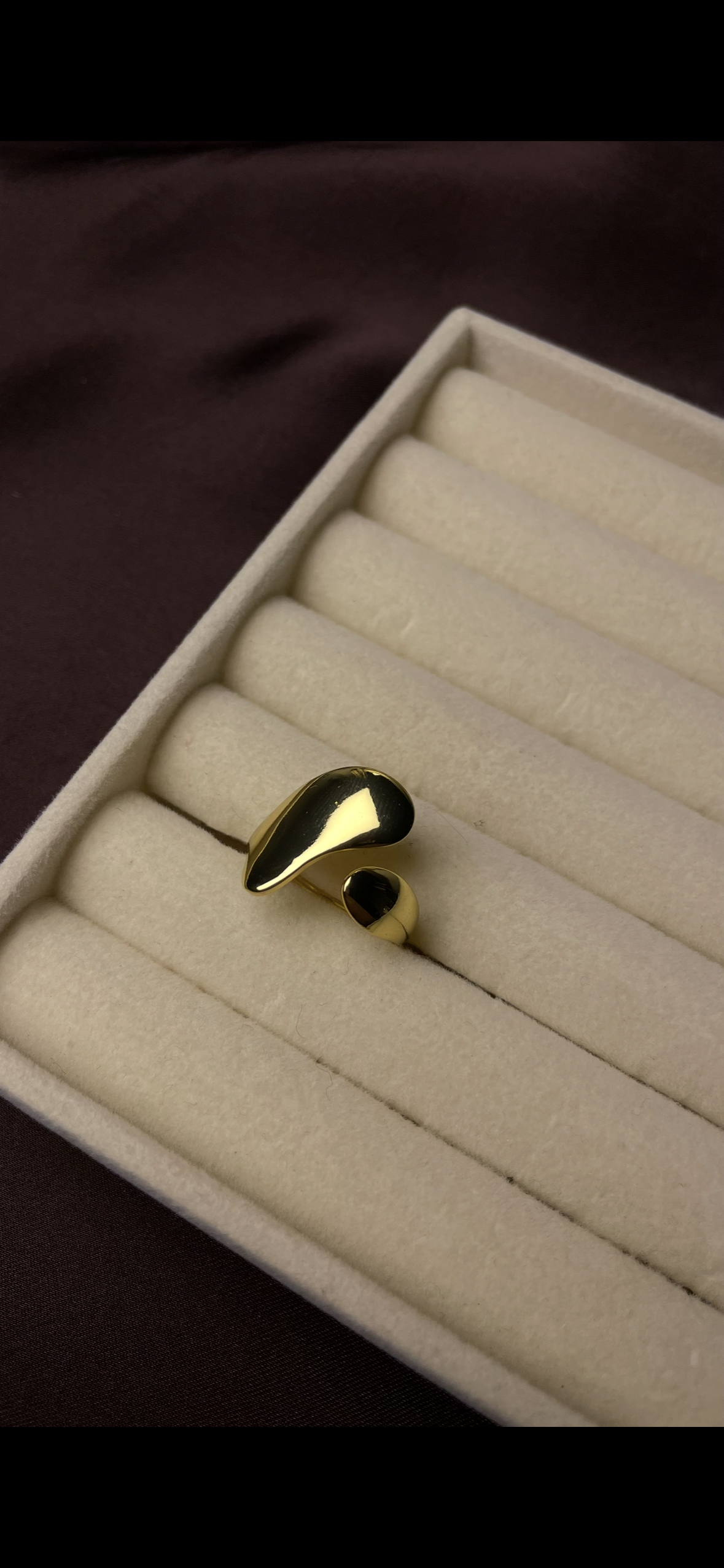 Premium Adjustable Stainless Steel Ring