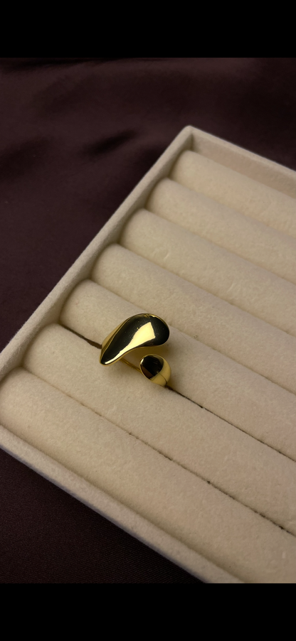 Premium Adjustable Stainless Steel Ring