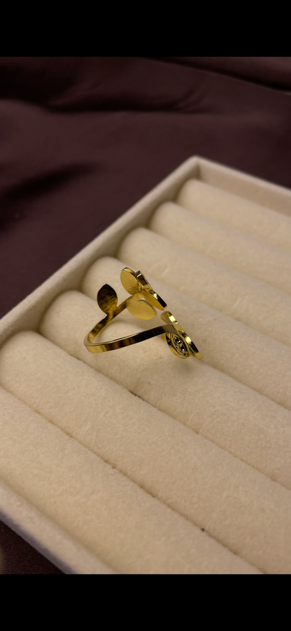 Premium Adjustable Stainless Steel Ring