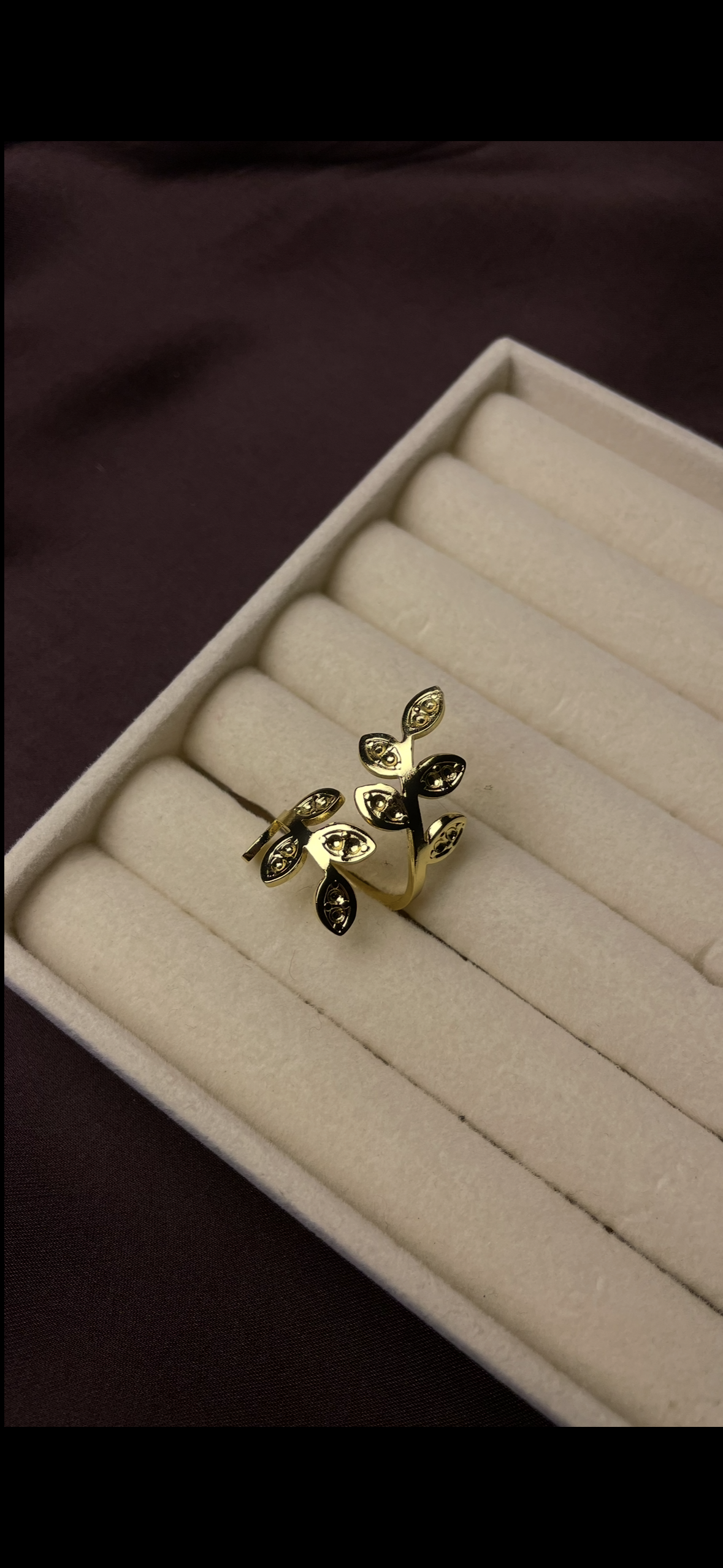 Premium Adjustable Stainless Steel Ring