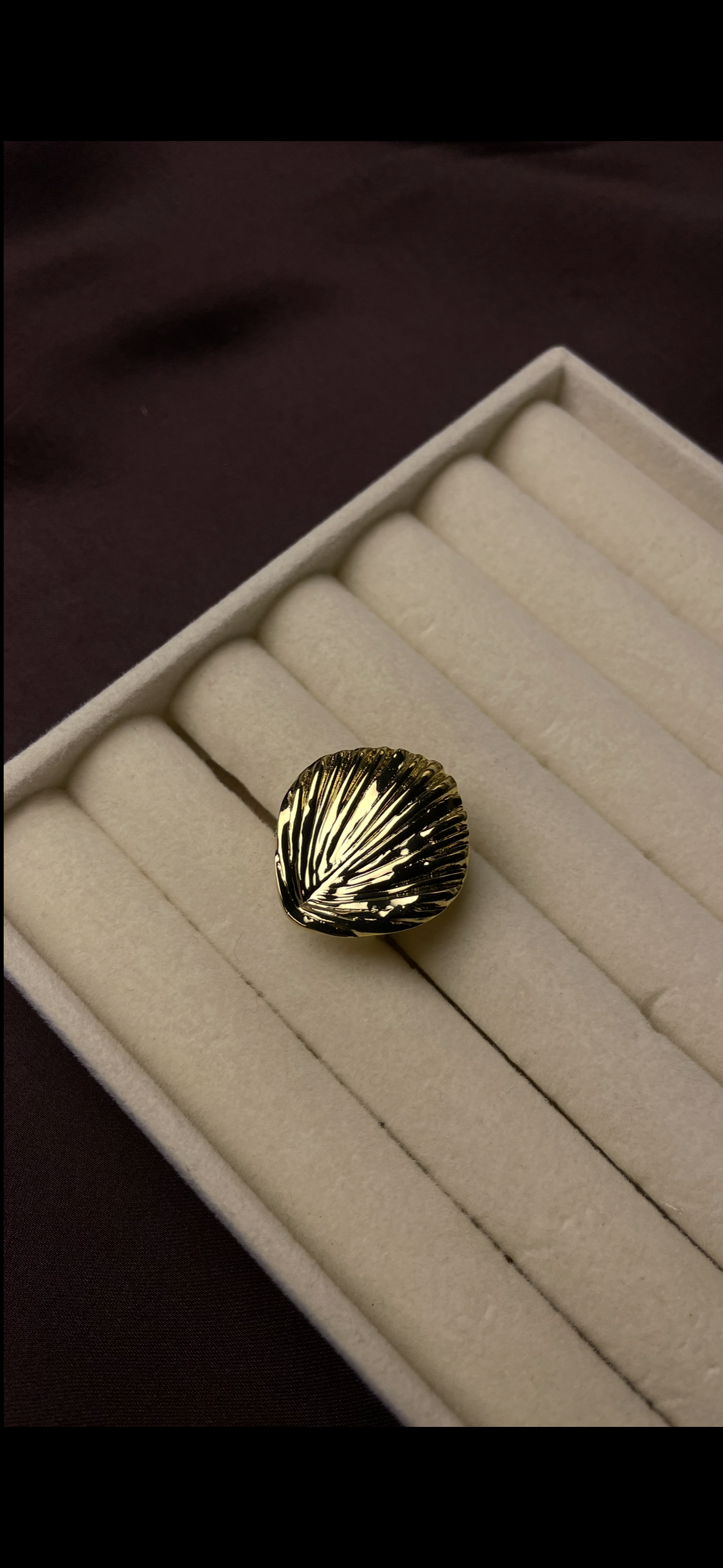 Premium Adjustable Stainless Steel Ring
