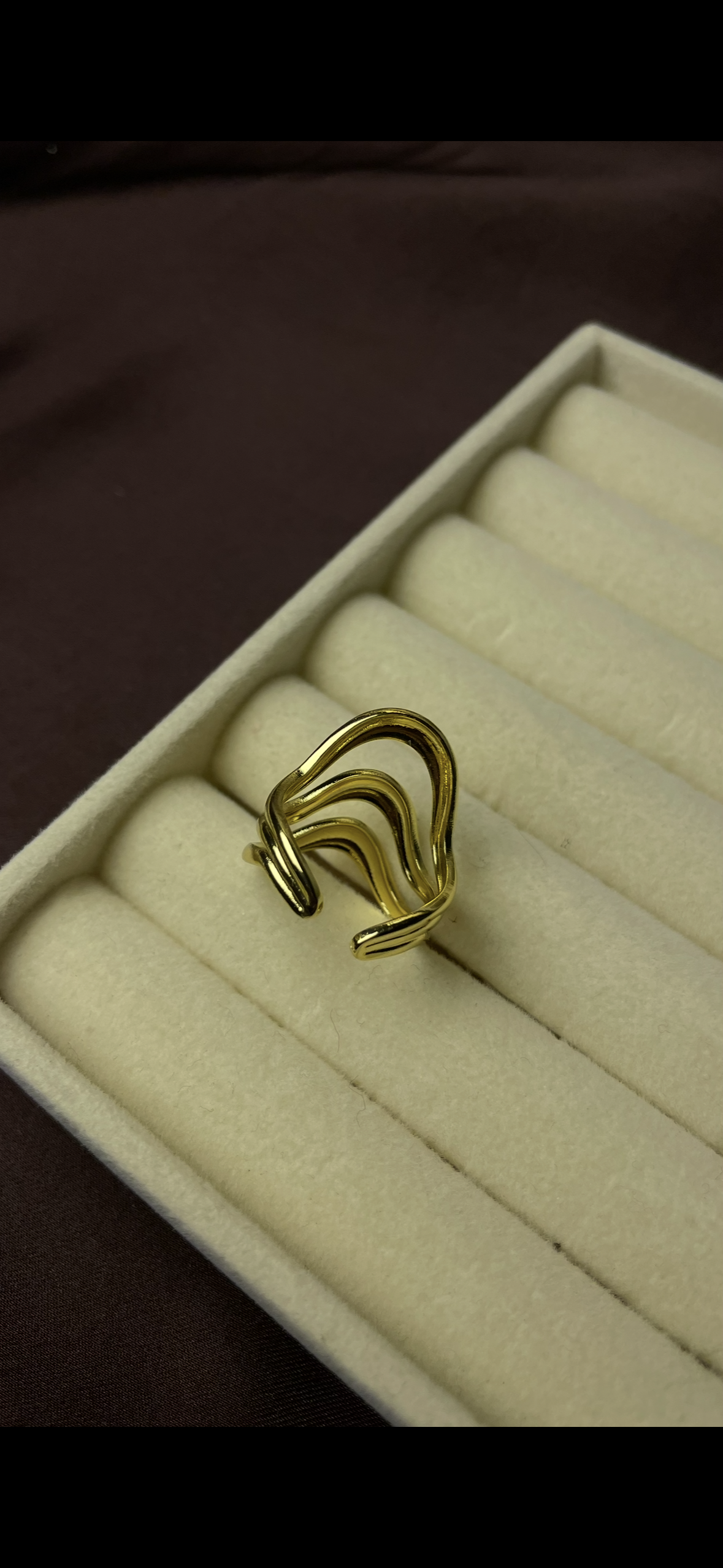 Premium Adjustable Stainless Steel Ring