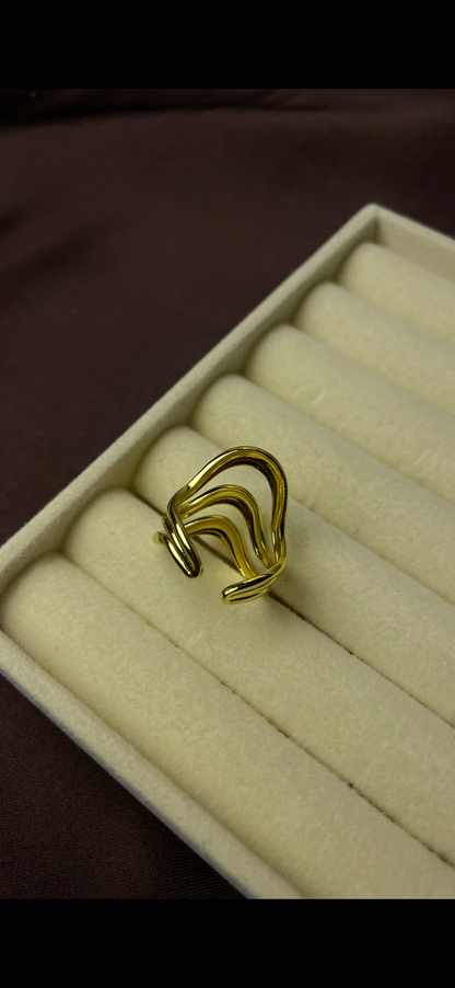 Premium Adjustable Stainless Steel Ring