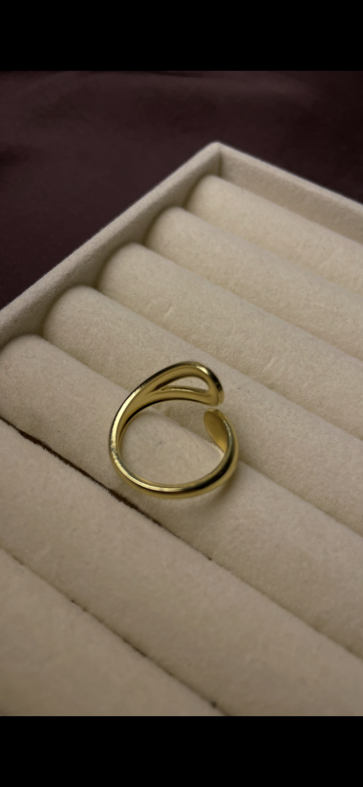 Premium Adjustable Stainless Steel Ring