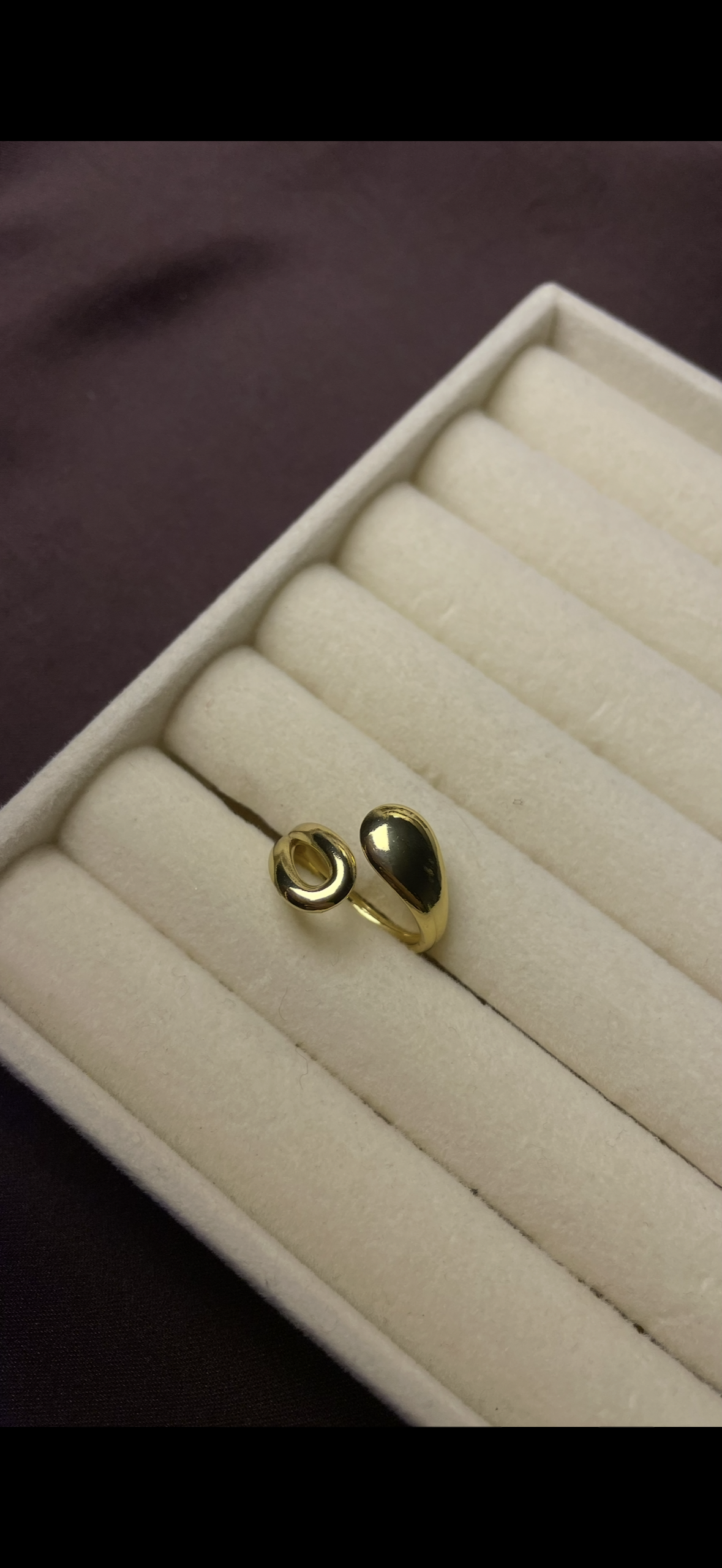 Premium Adjustable Stainless Steel Ring