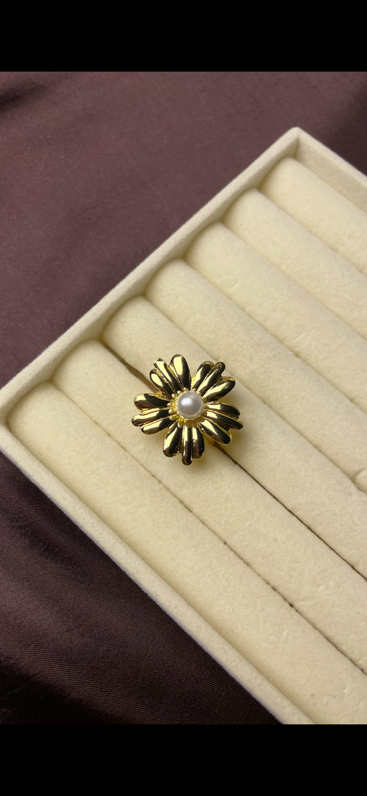 Premium Adjustable Stainless Steel Ring
