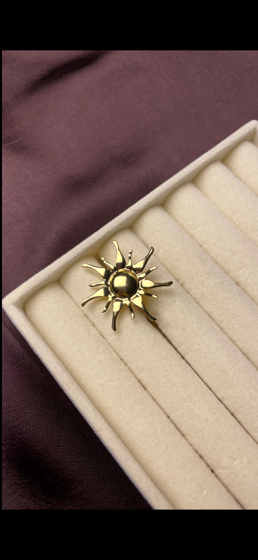 Premium Adjustable Stainless Steel Ring