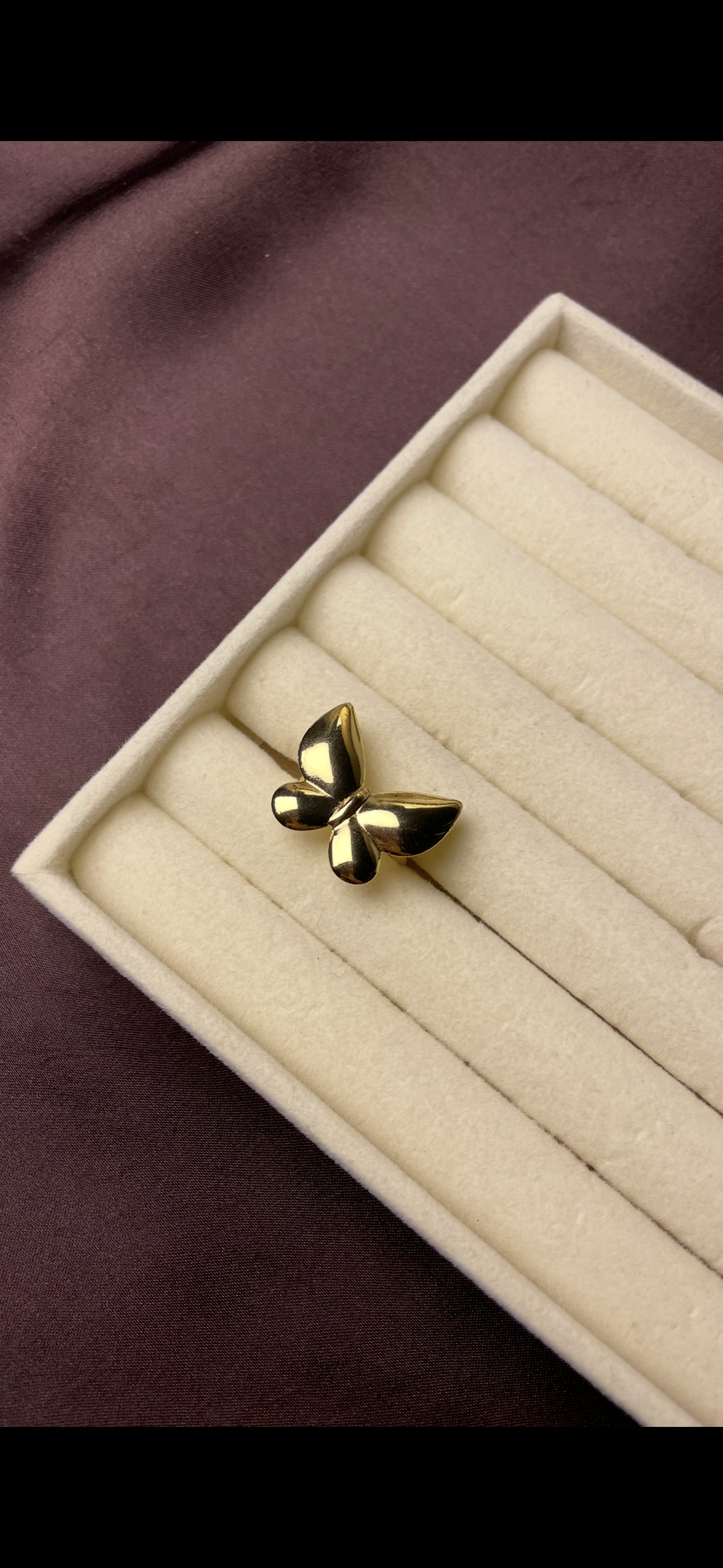 Premium Adjustable Stainless Steel Ring